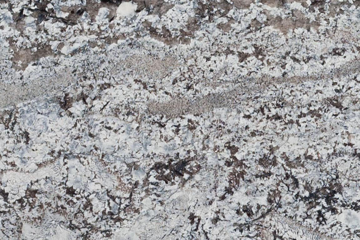 delicatus-white
