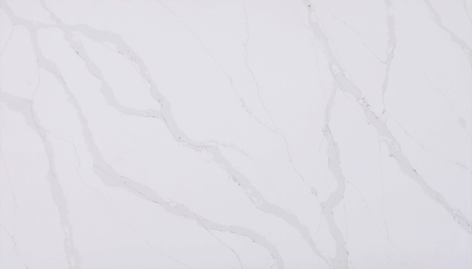 Asterum 5003 Michelangelo Asterum 5003 Michelangelo